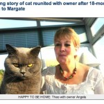 Local News Story Of The Week: Happy Theo The Ely Cat Of Joy