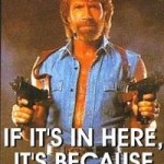 Chuck Norris is a meme