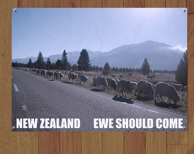 MURRAYâ€™S New Zealand Tourism posters, as seen on Flight of the ...