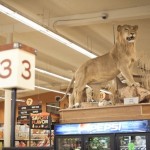 Hanks Grocery Store In Twisp, Washington Is Number One For Stuffed Animals