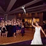 Brides Throwing Cats: The Best Of
