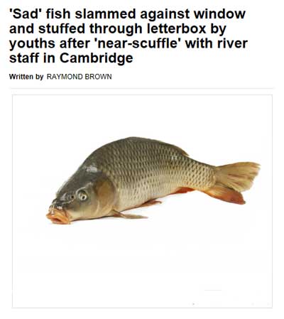 cambridge news fish
