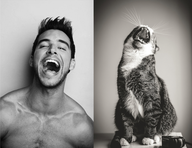 men and cats  1
