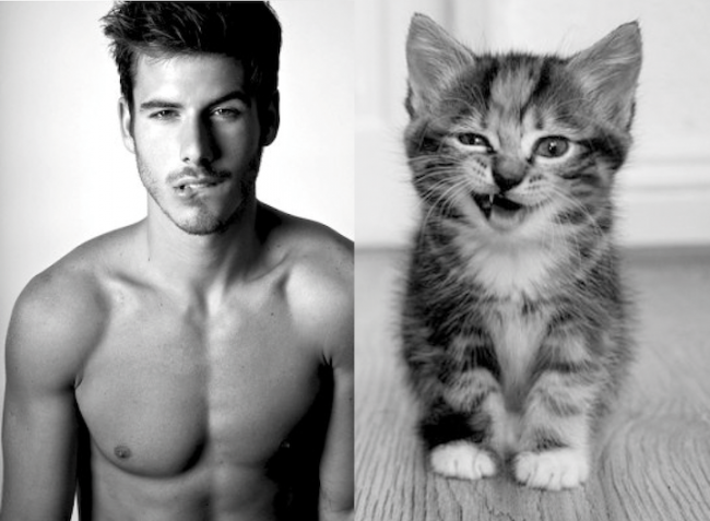 men and cats  5