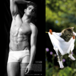 Des Hommes Et Des Chatons: Male Models Posing Like Kittens