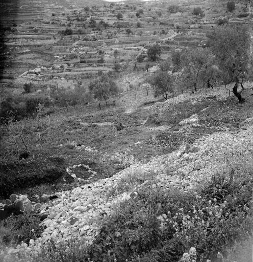 This is a mass grave used to bury 104 victims of the Deir Yassin massacre, April 1948. The round stone ring is a mass grave filled with female victims, and the square is a common grave for the men. 