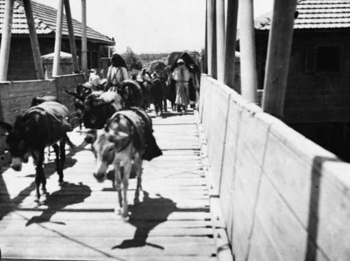 A train of donkeys crosses the Allenby Bridge, over the River Jordan on July 3, 1936, from Jordan into Palestine.