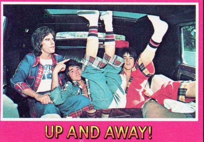 bay city rollers cards 18