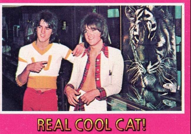 bay city rollers cards 19