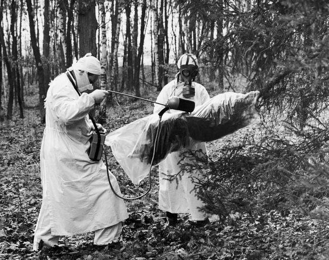 In protective outfits, chemist Rudolf Kohout and his assistant apply radioactive isotopes to a tree at the Institute of Forestry and Gamekeeping at Strnady, Czechoslovakia, March 30, 1962. The spraying is part of a research program to determine the harmful effects of sulphur dioxide on trees. 