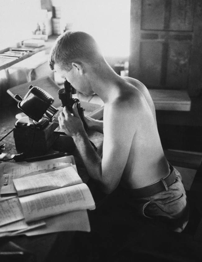 Commissioned entomologist Dr. James R. Douglas, of 3744 Sixth Ave, San Diego, Calif., examines a mosquito in the Malaria Control Unit'’s entomology laboratory on the combat front in Guadalcanal on May 18, 1943. Specimens are classified, then filed in the box at right of microscope. 