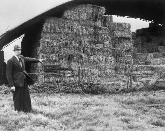 Mr William Morris, 61, standing near the hay barn on his farm, Blounts Farm, near Bishops Stortford, Herfordshire, where Harry Roberts is thought to have spent the night before his capture. Farmer Morris said he had driven the captured man to Bishop Stortford after his arrest by two armed police sergeants. Harry Roberts was charged with the murder of three policemen at Braybrook Street, East Acton, London, and was sentenced to life imprisonment. Date: 15/11/1966