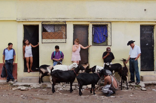 Prostitutes buy fresh goat milk while waiting for clients outside their rented rooms on a street called in Spanish "La Linea," or "The Strip," where dozens of women work as prostitutes in Guatemala City, Monday, May 28, 2007. 