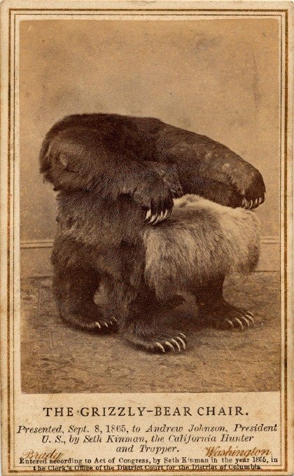 grizzly bear chair