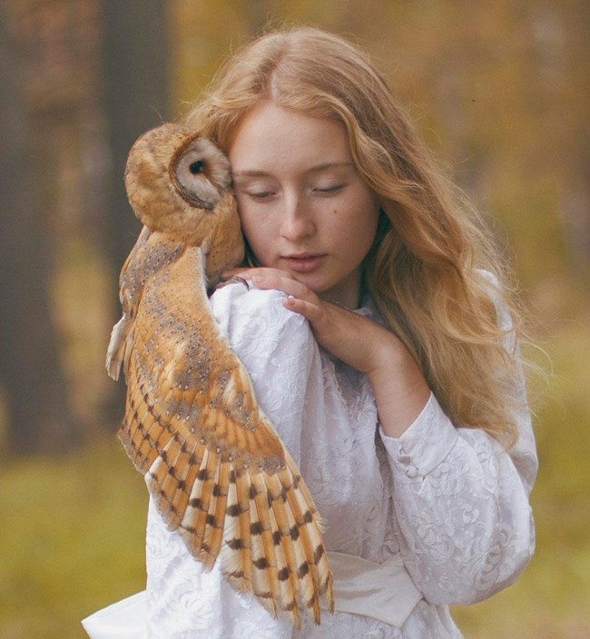 katerina-plotnikova owl