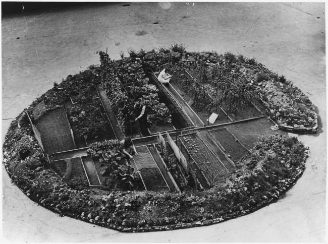  A Victory Garden in a Bomb Crater, London, 1943