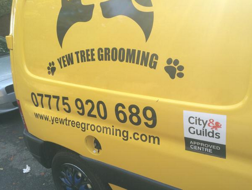 Yewtree grooming