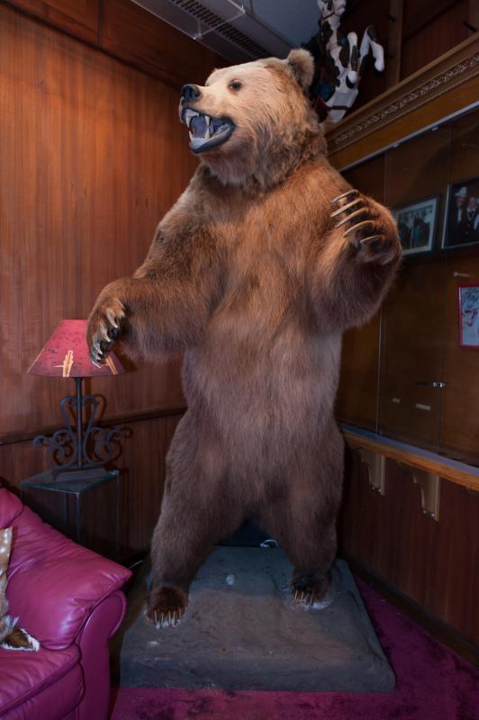 Estimate: $2,000 - $3,000 Starting: $1,000 A full body mounted brown Kodiak bear in aggressive pose.