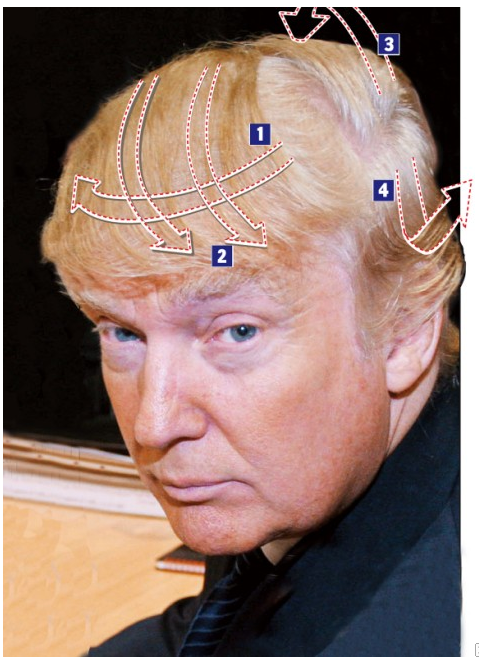 Donald TRump hair 