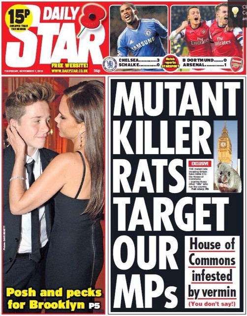 killer giant invading german scottish rats britain daily star, daily express tabloids
