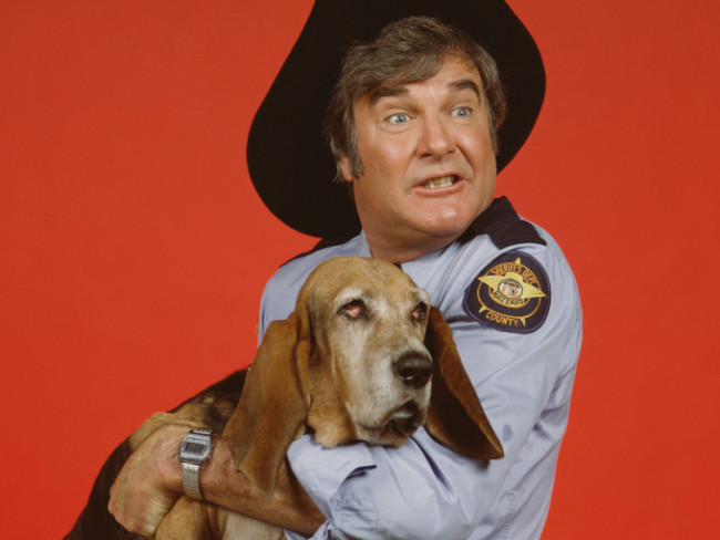 tor James Best played Sheriff Rosco P. Coltrane, a bumbling underling of Jefferson Davis "Boss" Hogg, Hazzard County's corrupt county commissioner. Rosco's dog Flash was played by a basset hound named Sand