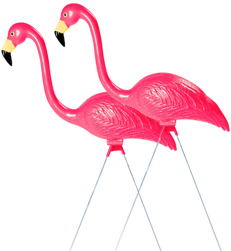 featherstone pink flamingo