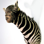Taxidermy with human faces: artist makes harmonious chimera from natures and mankind