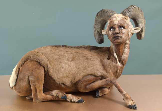 taxidermy with human faces