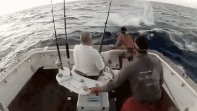 The greatest fishing gif of all time