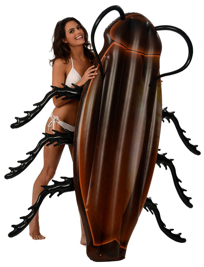 cockroach inflatable a