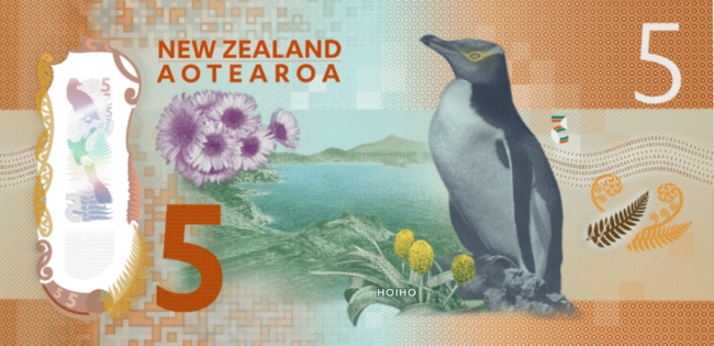 New Zealand money 