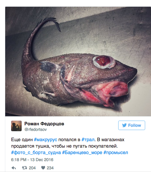hideous strange weird fish