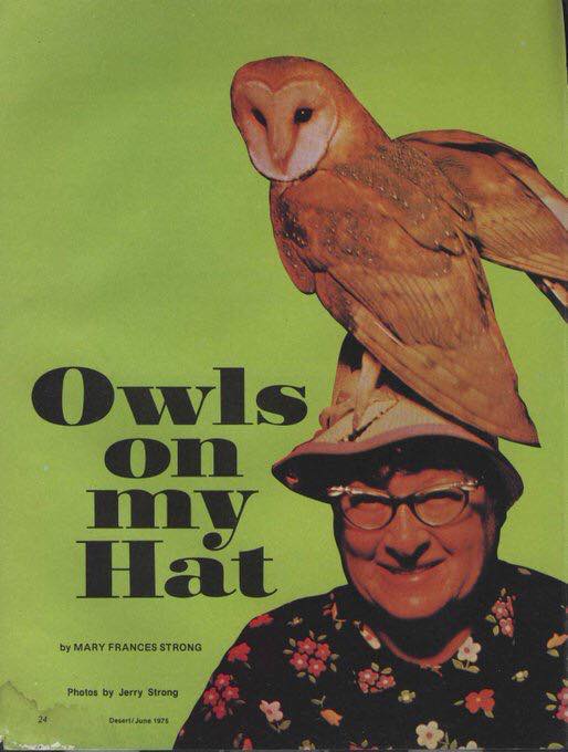 Book of the day : ‘Owls on My Hat’ - June 1975