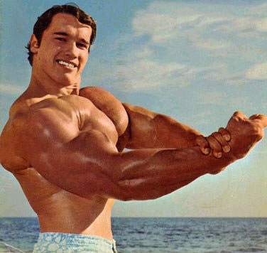 arnold schwarzenegger body now. FOETID-MEAT bodied Arnold