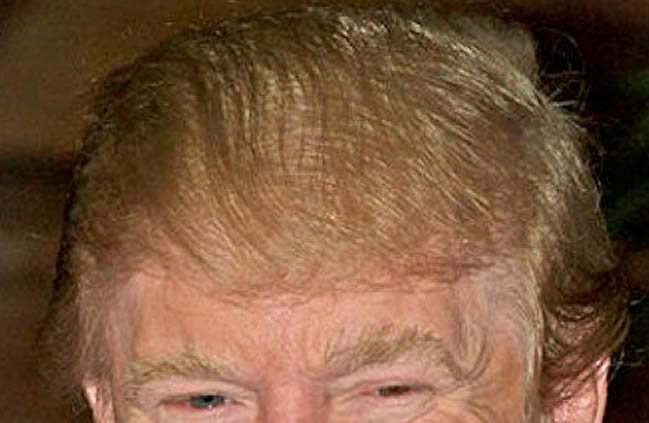 donald trump hair. DONALD Trump#39;s hair.