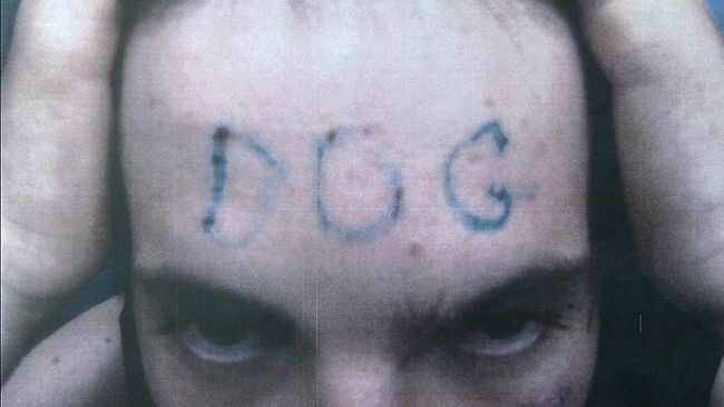 tattoo dog Man Tattoos DOG On Face Of Victim Who Slept With His Ex Photo