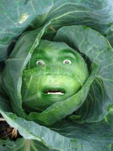 vegetable-fear