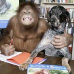 Suryia And Roscoe: When The Ape ‘Mates’ A Dog