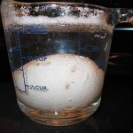 What happens when you place a raw egg in vinegar