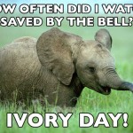 1990s elephant is a meme that never forgets