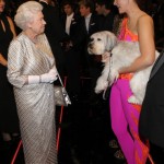 Royal Variety Performance 2012 – photos