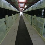 Inside Guantanamo Bay – the story in photos