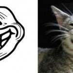 Rage faces – with CATS