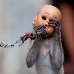 Indonesia Monkey Busines – In Photos