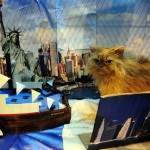 The Supreme Cat Show In Photos – Birmingham 2013