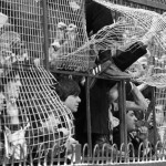 1978: Caged Spurs Fans Peer Through The Bent Steel Mesh At Southampton