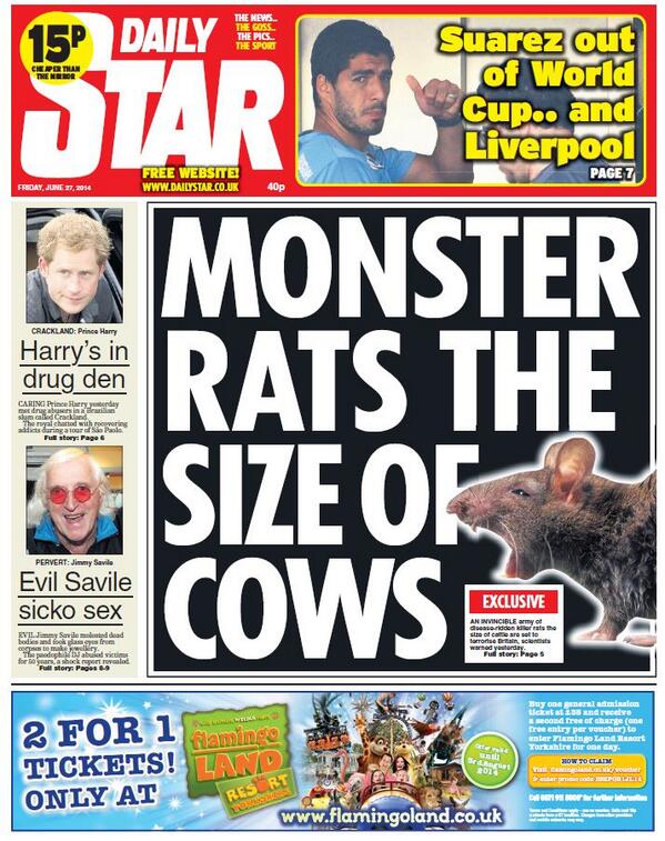 killer giant invading german scottish rats britain daily star, daily express tabloids