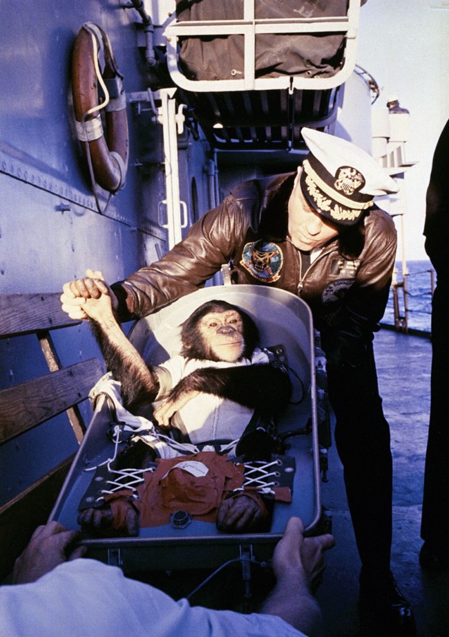The famous hand shake welcome. Ham the Chimpanzee is greeted by recovery ship Commander after his flight on the Mercury Redstone rocket, January 31, 1961