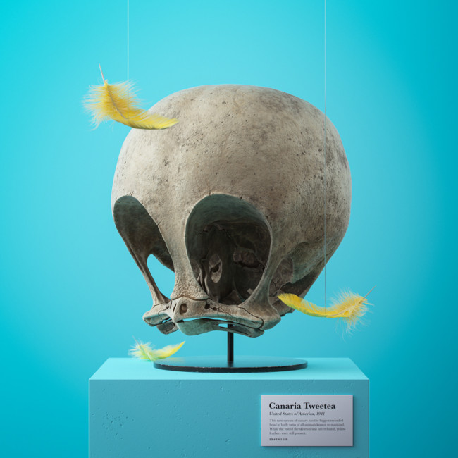 3D artist Filip Hoda makes fossilised skulls of famous cartoon characters