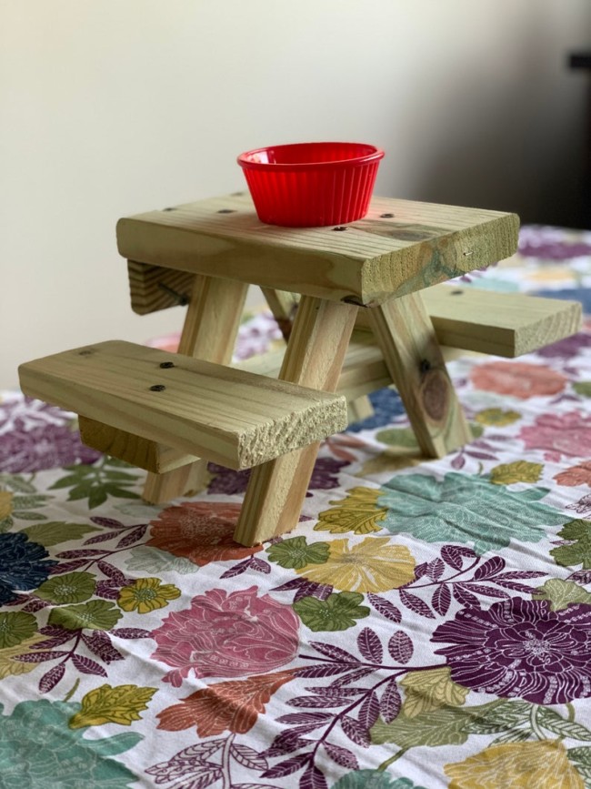 Squirrel Picnic Table and Bench